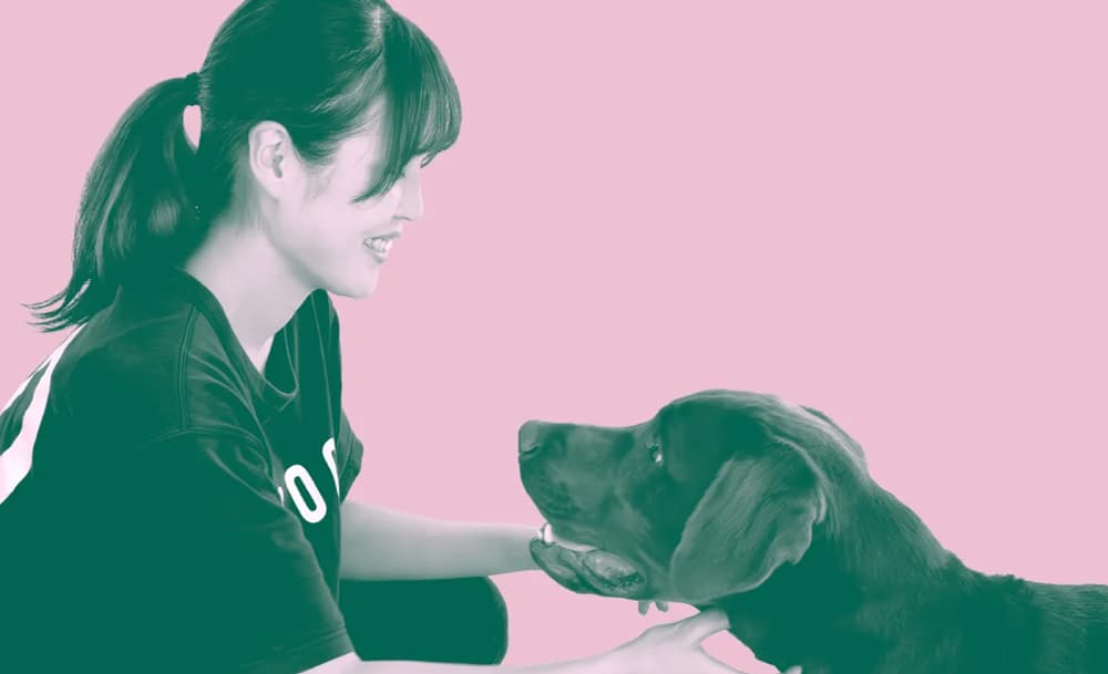 【殺処分ゼロに向けて働く】愛犬の“しつけ教育”業界というキャリアの選択肢と社会的インパクト