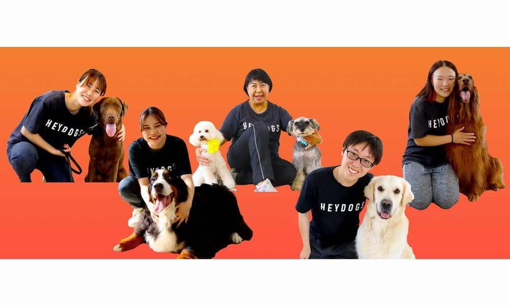 「社員の笑顔が幸せの循環を生む会社」ヘイドッグズの働き方改革とキャリア形成のリアル