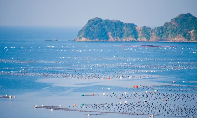 【サステナブル水産×地方創生】オニテナガエビ養殖が変える日本の未来と、そこで働くという選択肢