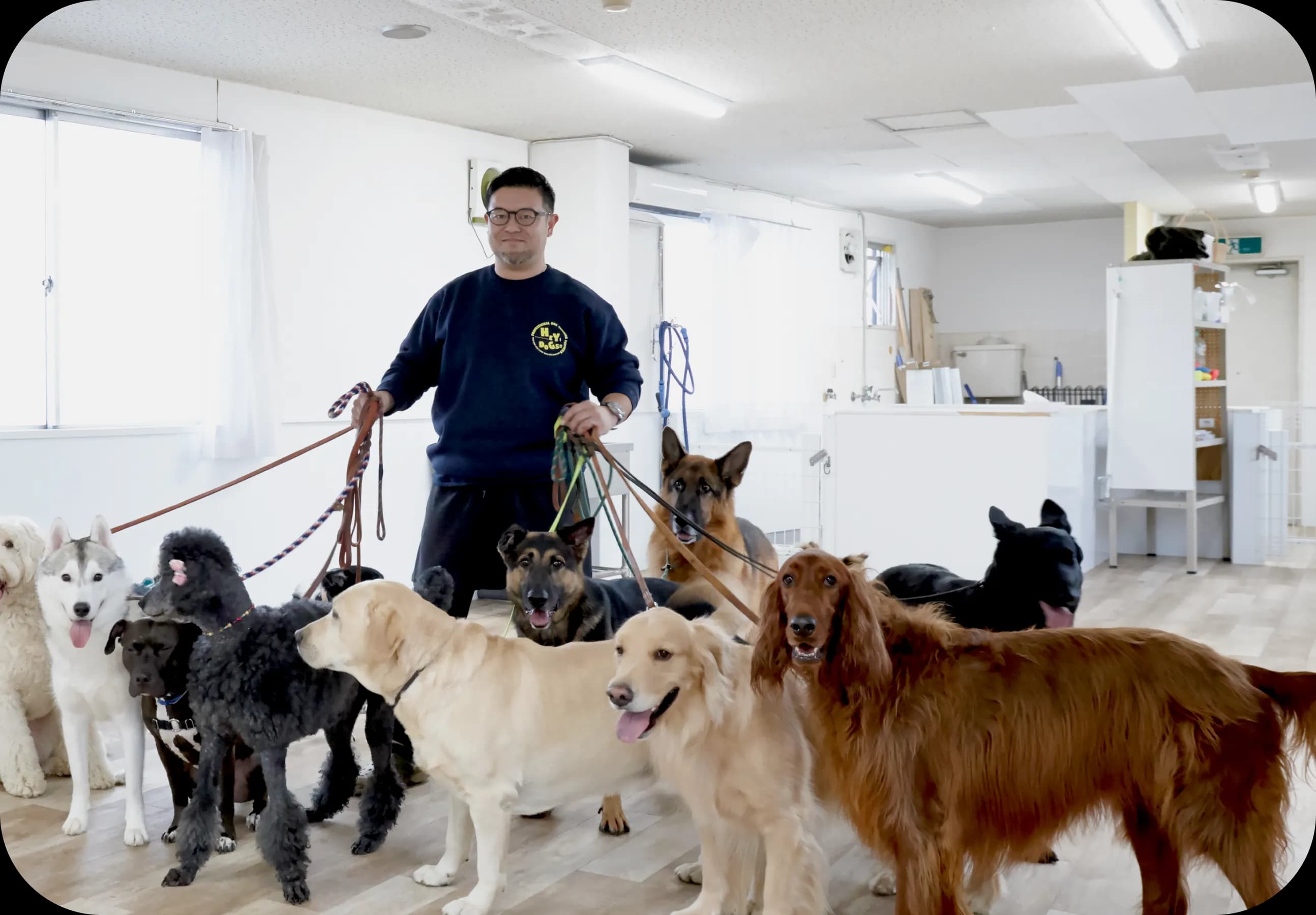 「世界中の愛犬を幸せに」――ヘイドッグズのビジョンと、ドッグトレーナーとして働くことの社会的意義