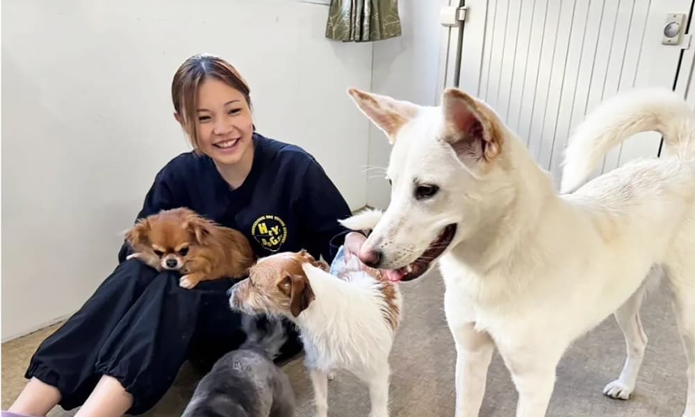 動物業界の働き方を変える。24時間体制でも“心がすり減らない”ヘイドッグズの職場づくりと福利厚生