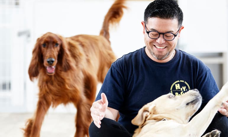 【代表ロングインタビュー】殺処分ゼロをめざす犬のようちえんができるまで──畑中学×ヘイドッグズの挑戦