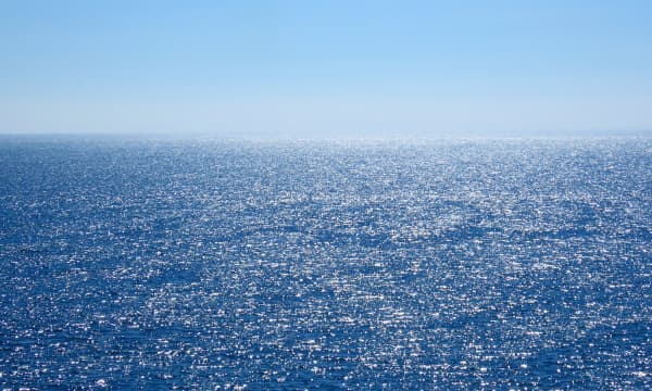ベンチャーという「未知の航海」を支える。マルコ・ポーロが貫く、覚悟のガバナンス
