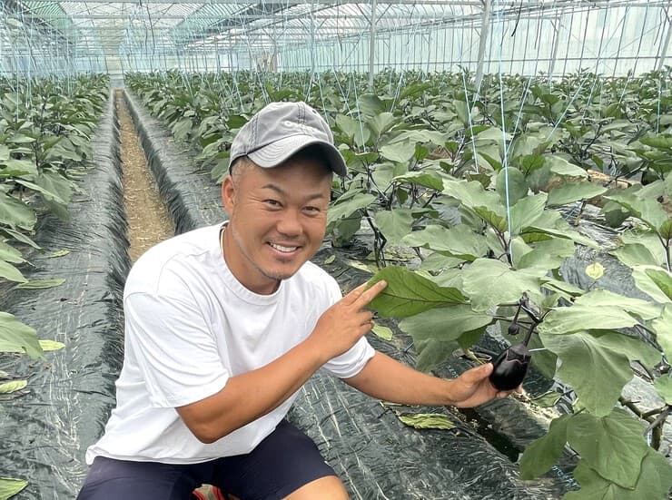 祖父から受け継いだ泉州水なすの種を自家採取！新ブランドで、泉州水なすの新しい食べ方を提案