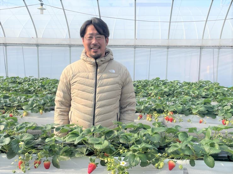 一度食べたらもう一度食べたい！川浦農園のイチゴは記憶に残る味