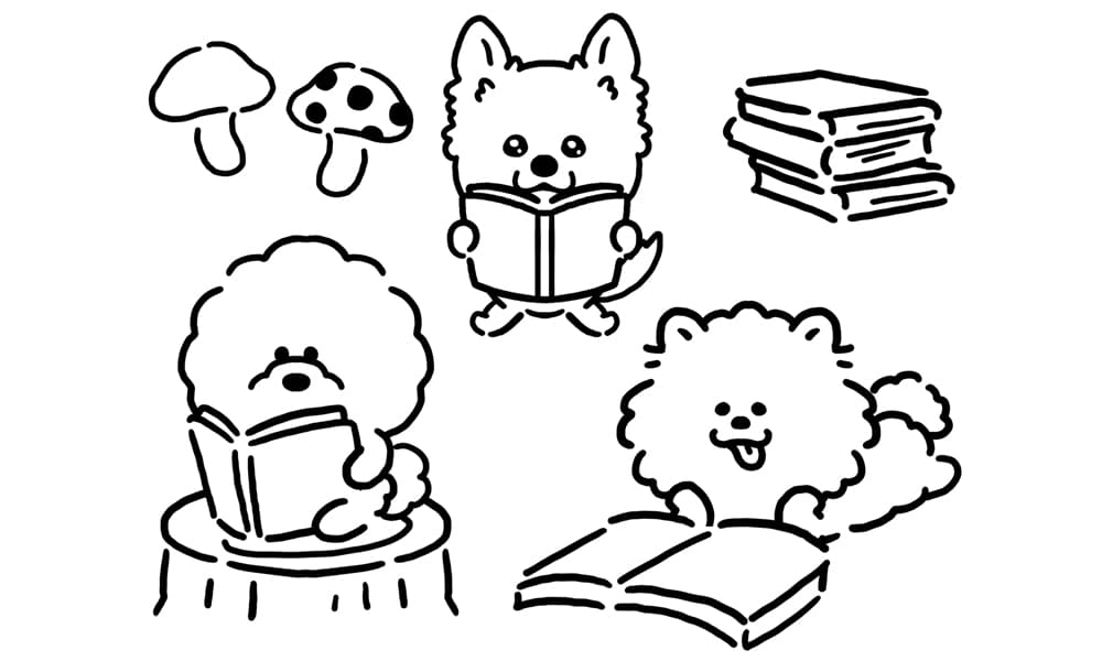 犬の“義務教育”をつくる仕事。ヘイドッグズのビジョンと、ここでしか積めない30年分の経験値