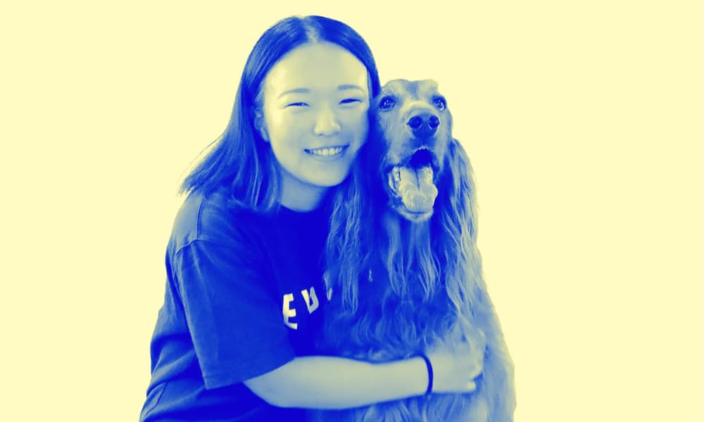 【犬業界で働くならヘイドッグズ】30年で3,000頭以上をしつけてきたプロ集団の“本気のビジョン”とキャリアの描き方