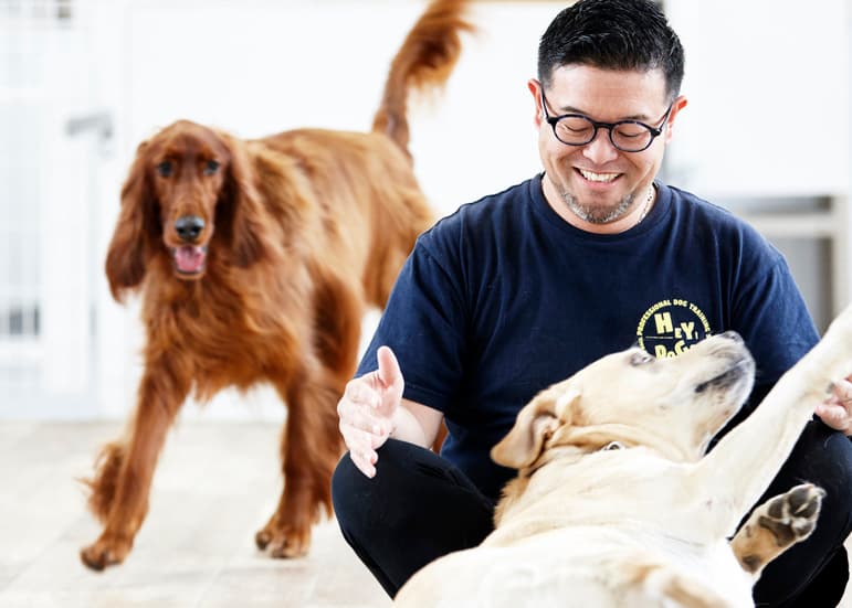 犬と人、社長とスタッフさん。本当の「家族」になるために!カリスマドッグトレーナーの思い